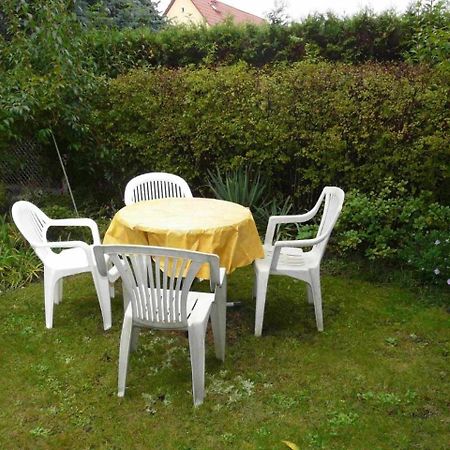 Ferienwohnung Winter Wittenberg Dış mekan fotoğraf